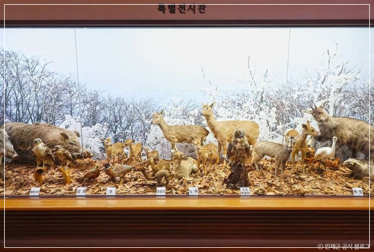 인제 가볼만한곳 베스트10 인제산촌민속박물관