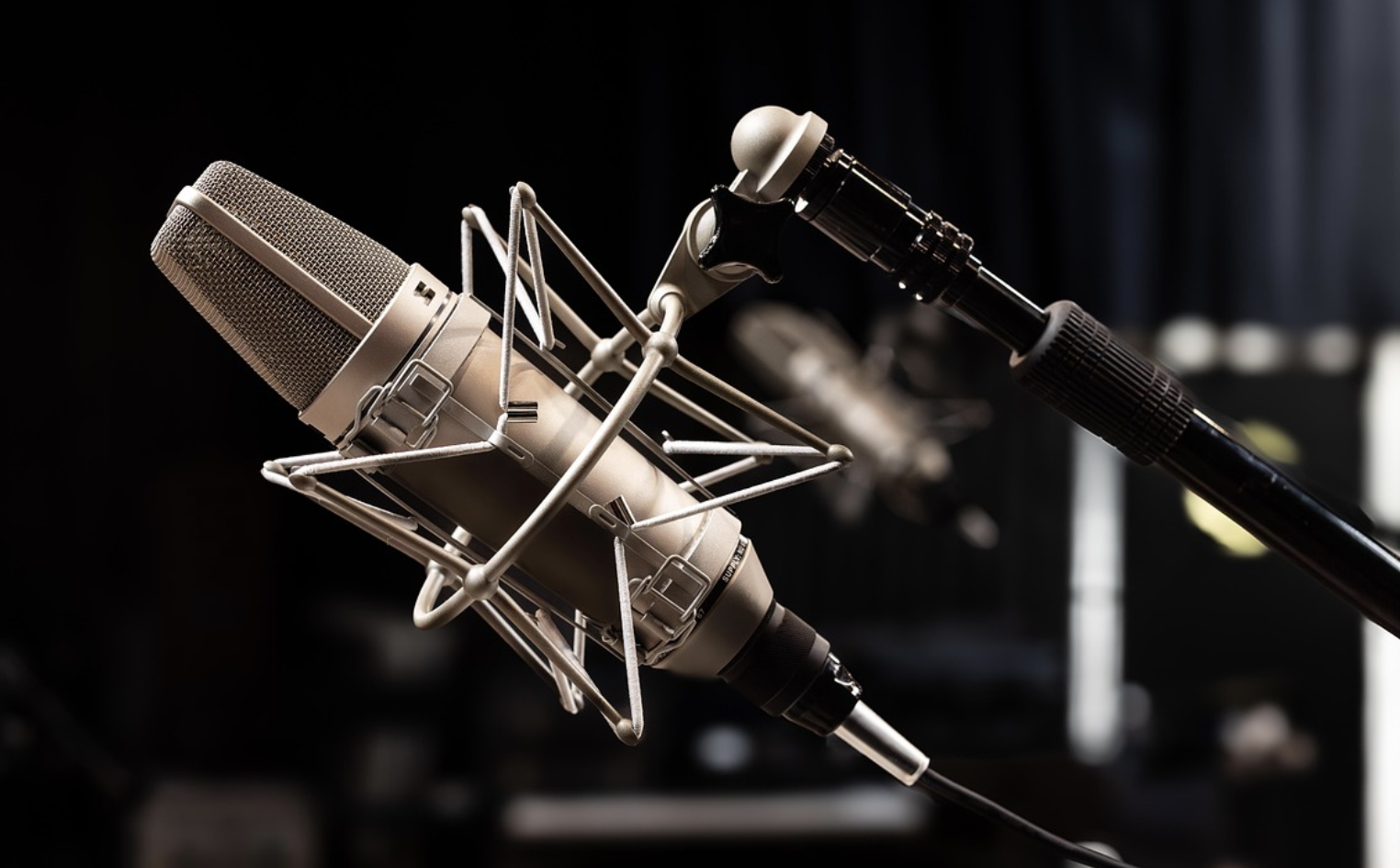 애니메이션 더빙 성우 – 목소리로 감정을 연기하는 사람들