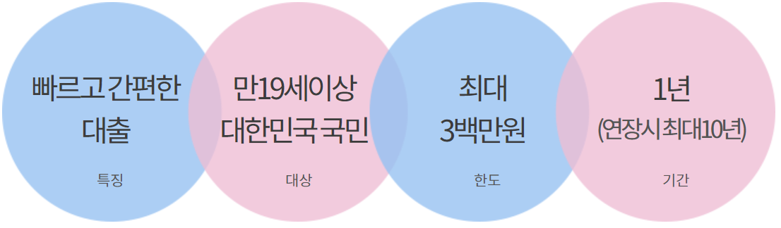 하나은행 비상금대출