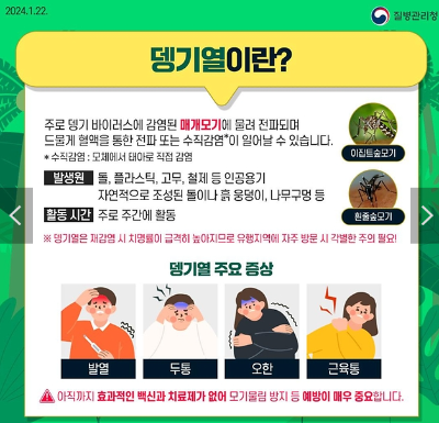 뎅기열