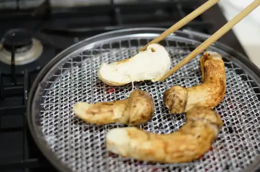 가을 제철식품 송이버섯 효능 효과 및 가격