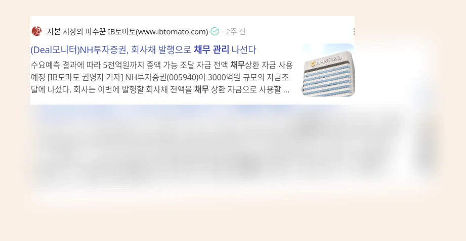 채무 관리_3_subsection