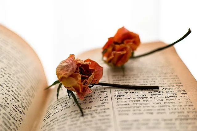 히브리서 10장 24절 묵상 - 서로 돌아보아 사랑과 선행을 격려하며_4