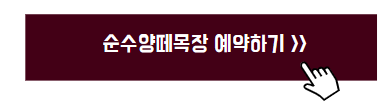 강아지 동반 여행지 추천