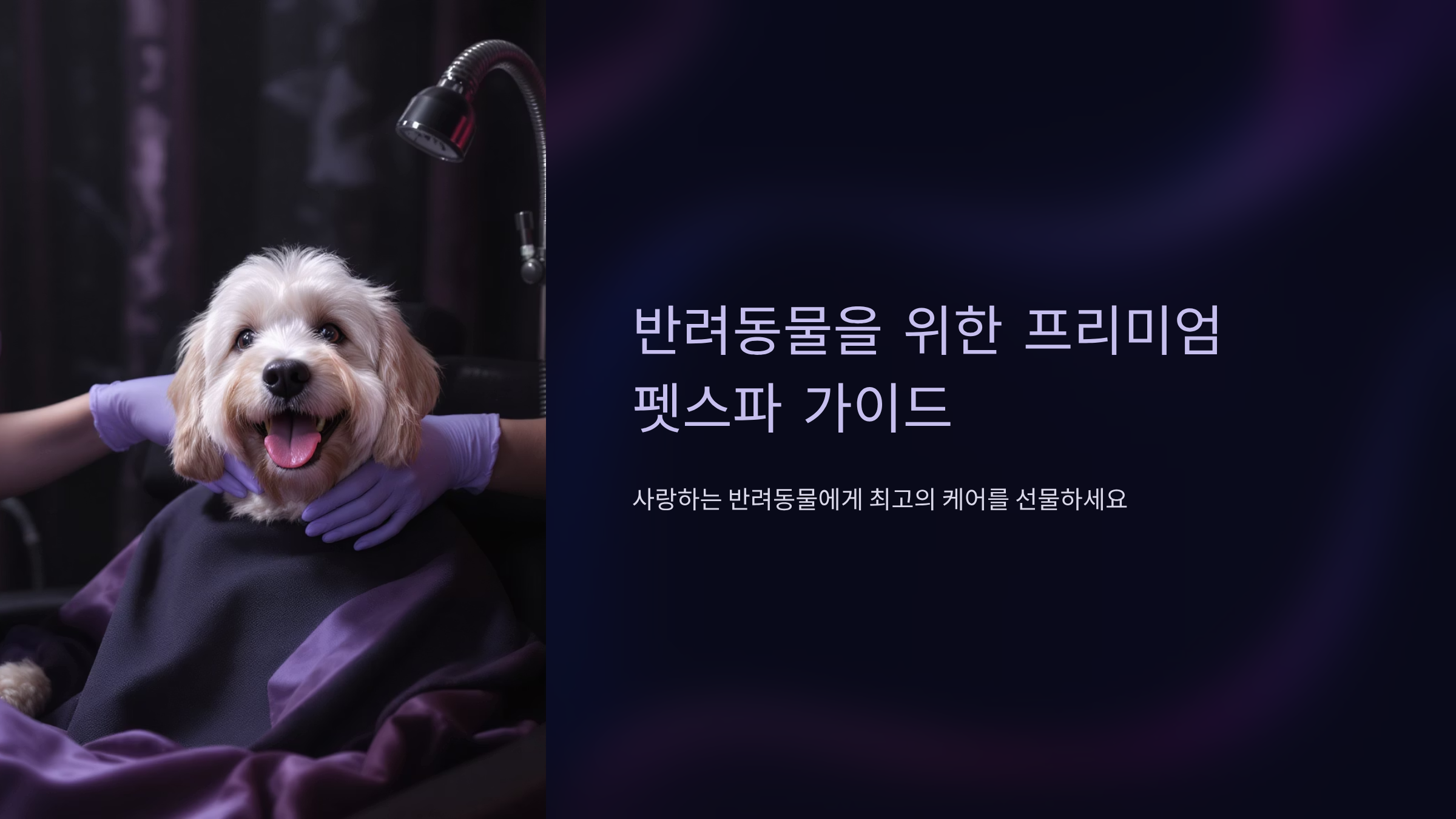 펫스파로 시작하는 반려동물 힐링케어