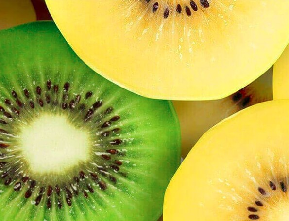 초록키위-골드키위