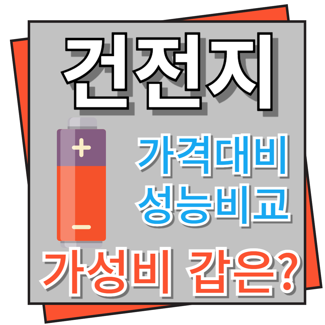 건전지 가격대비성능비교