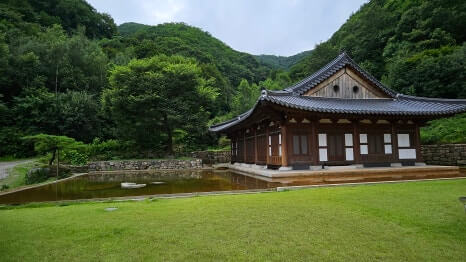 남양주 금선사 : 6만평의 자연공원과 갤러리 자연과 수행이 어우러진 사찰