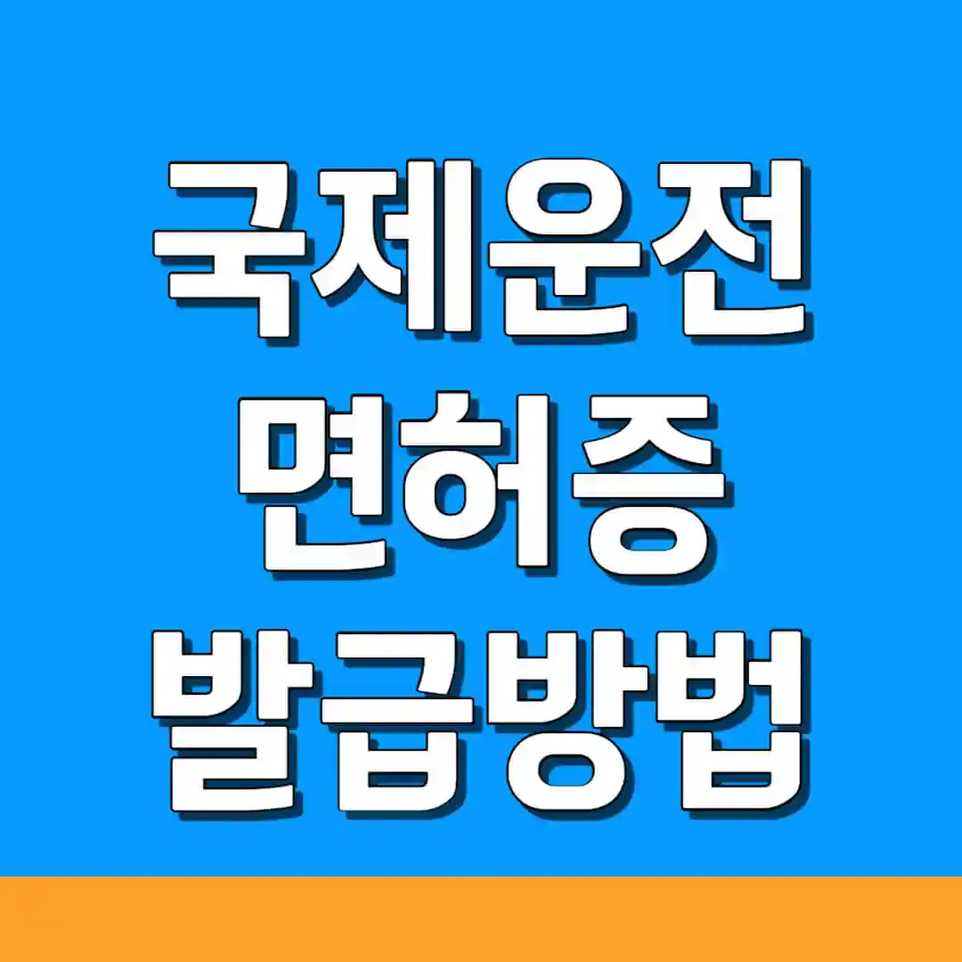 국제운전면허증 발급 방법