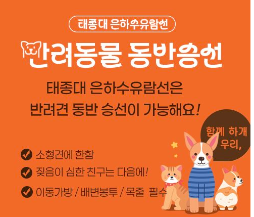 태종대 유람선&amp;#44; 짚라인 예매