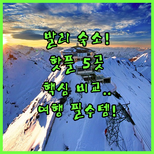 발리 핫플 숙소 5곳 비교 분석 트렌..