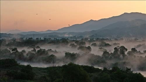 추천 여행지 ⑤ - 멸종위기 동물 서식지 침실습지