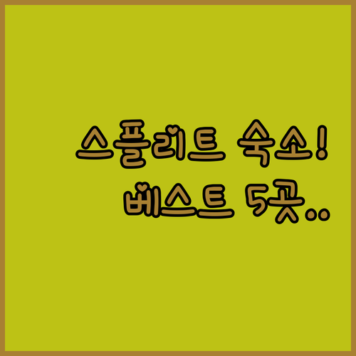 스플리트 자유여행 숙소 베스트 5곳 ..