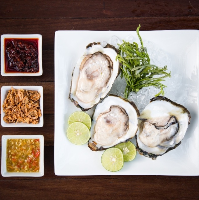 굴은 적정섭취량을 지키는것이 좋다.