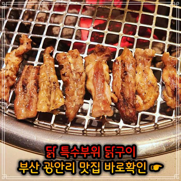 모닝 투데이 부산 광안리 닭고기 모둠구이 맛집