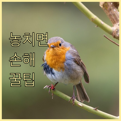 미국 ESTA와 유사 ETIAS 7유..