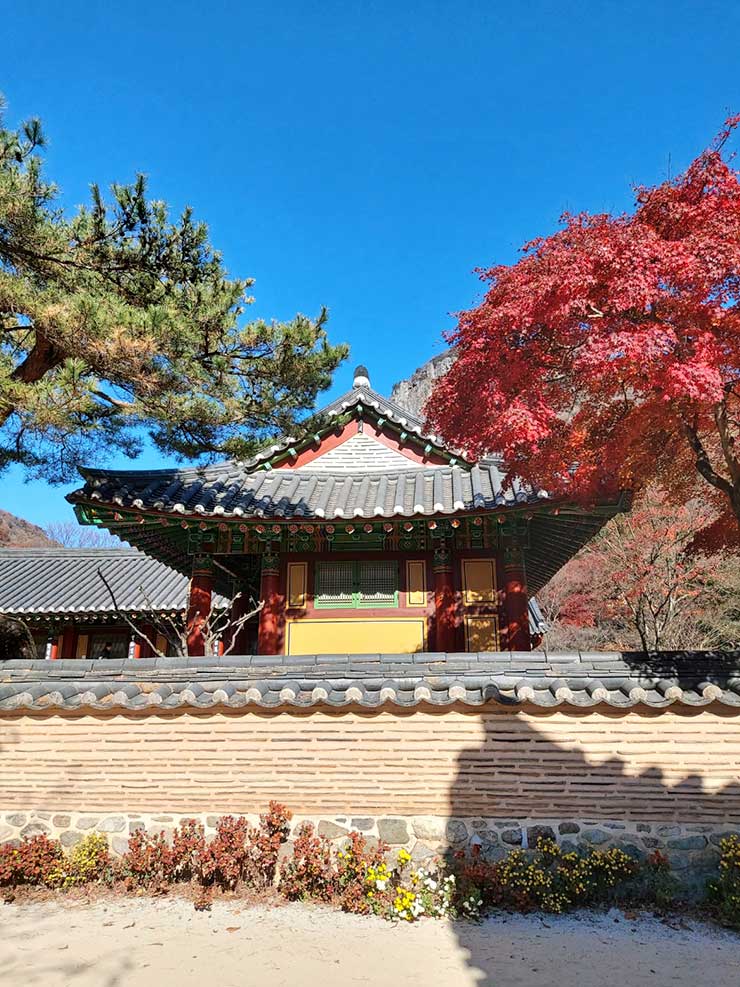 내장사