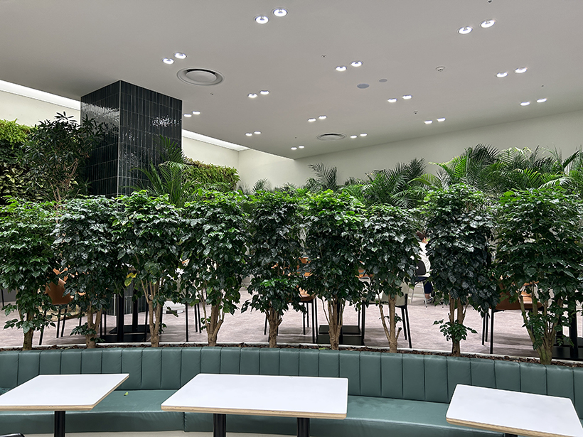 앤드테라스-카페5