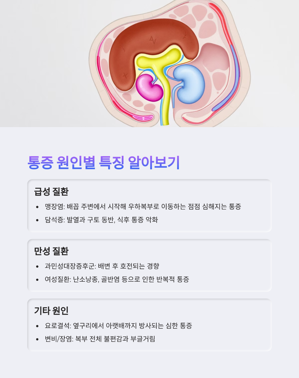 오른쪽 아랫배 통증2