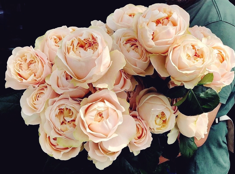 언포겟터블 장미