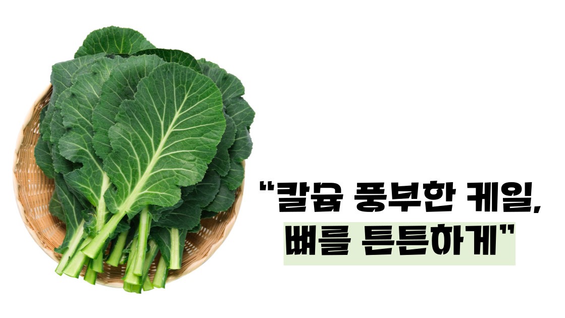 케일 효능