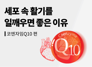 코엔자임Q10