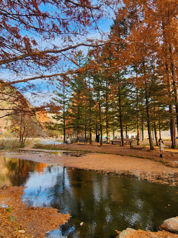 낙강_물길공원_풍경_03