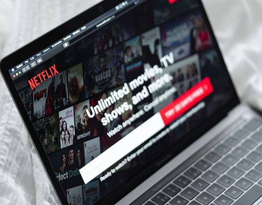 넷플릭스이용가구설정및업데이트