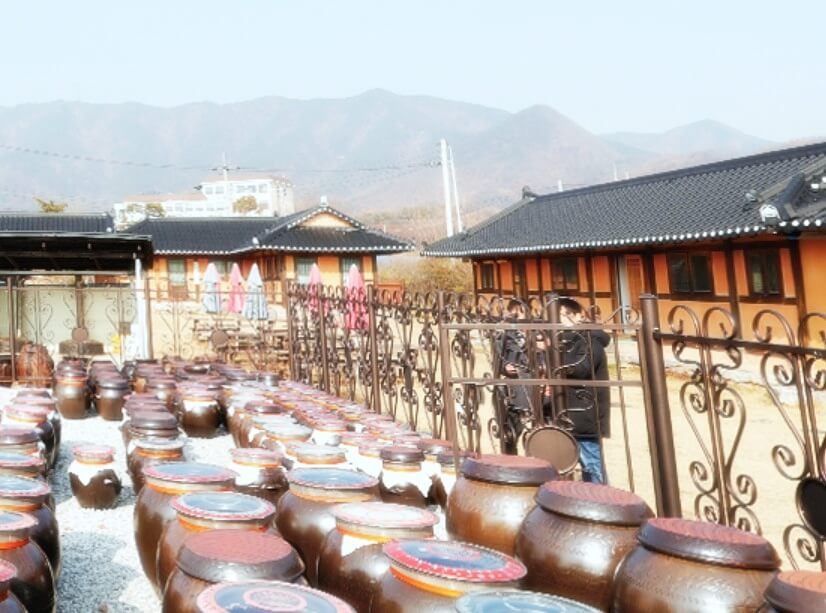 아이들과-가기-좋은-1월-국내-여행지-추천