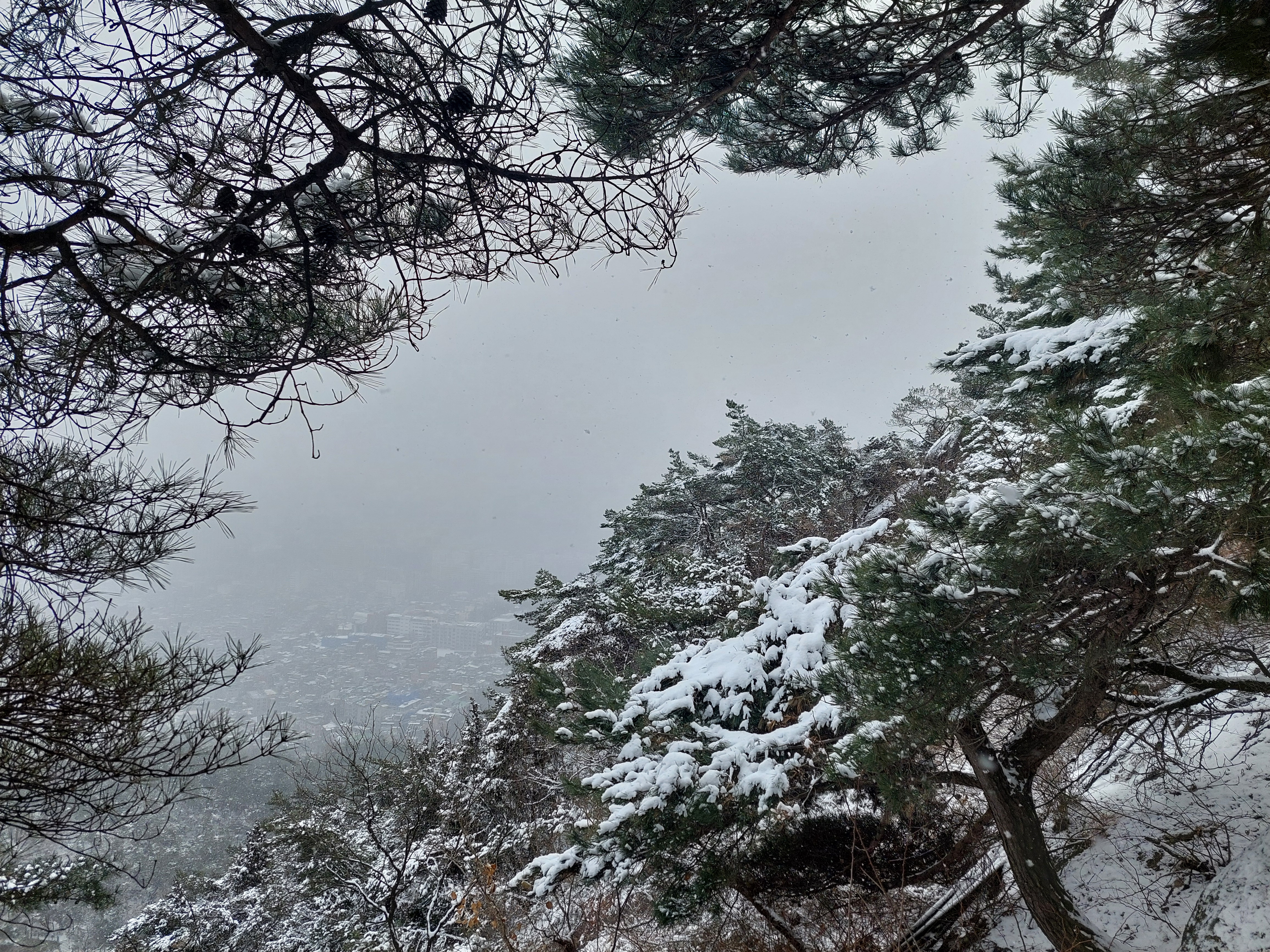 인왕산