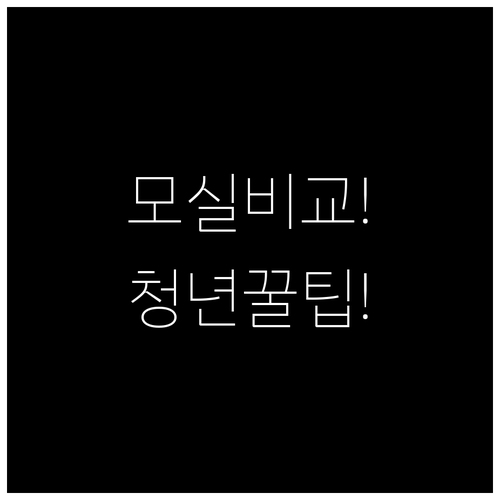청년 기후동행카드 모바일과 실물카드 ..