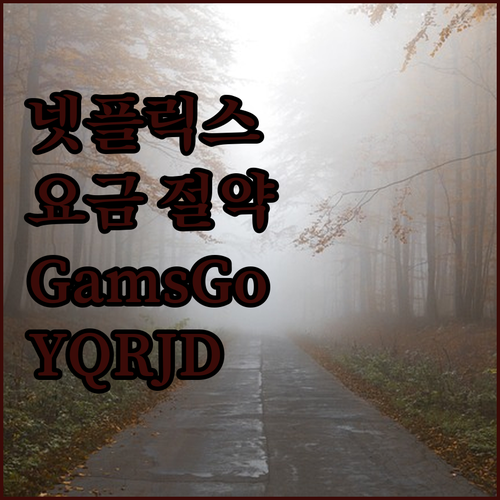 넷플릭스 요금 아끼는 법 GamsGo