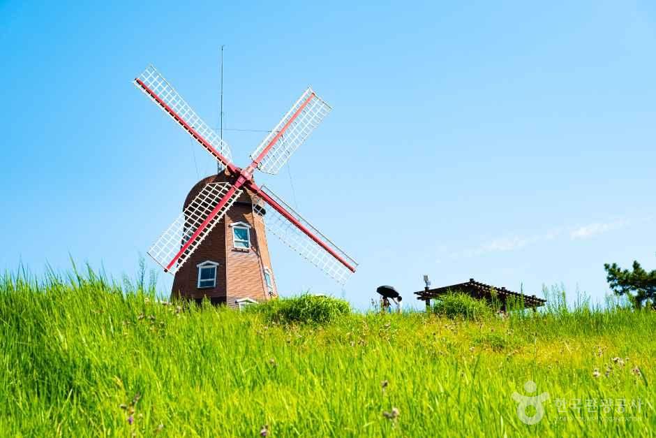 바람의 언덕 풍차와 바다