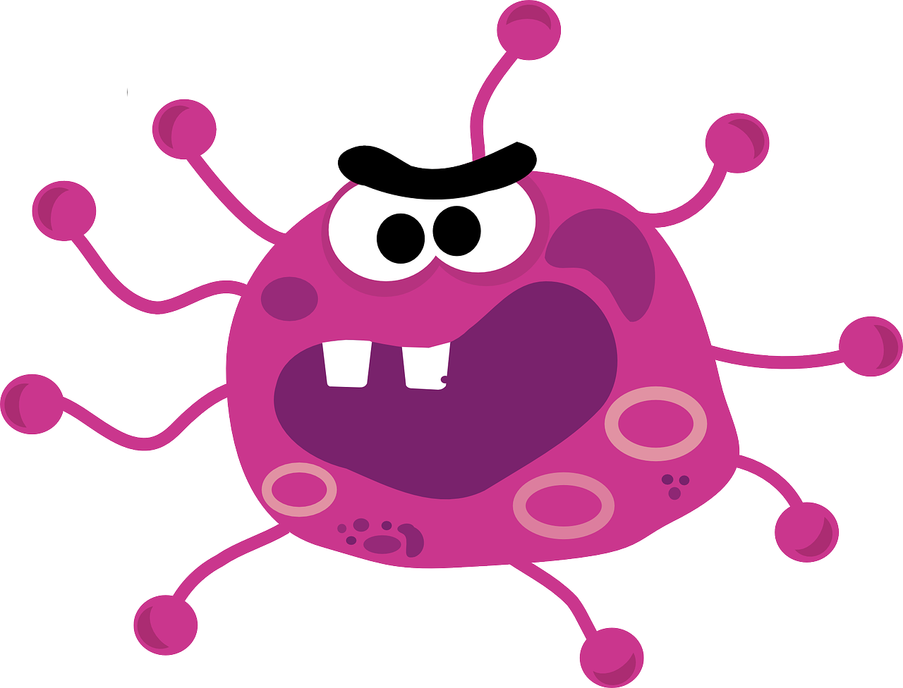 b형 헤모필루스 인플루엔자