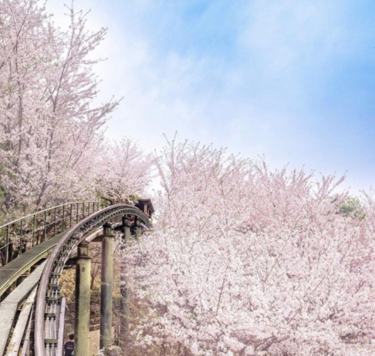 화담숲예약하기