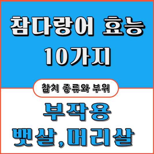 참다랑어-효능-15가지-부작용-서식지-부위-맛-주도로-오도로