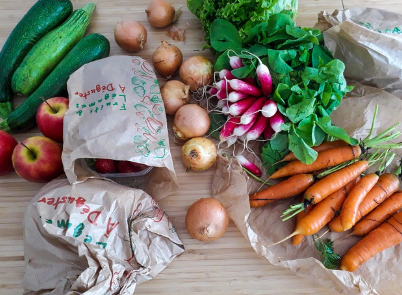 처음 비건 시작할 때 겪는 시행착오와 극복법