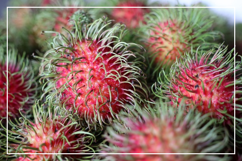 람부탄 건강하게 즐기는 팁