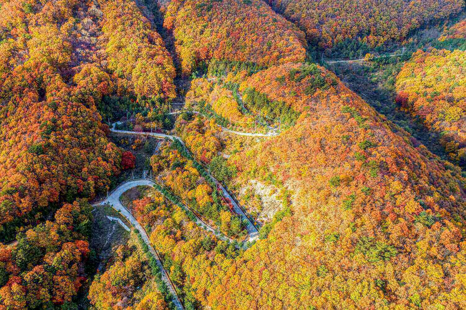 보현산 (사진출처:경북나드리)