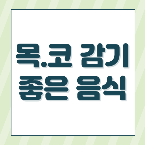 목감기코감기에좋은음식