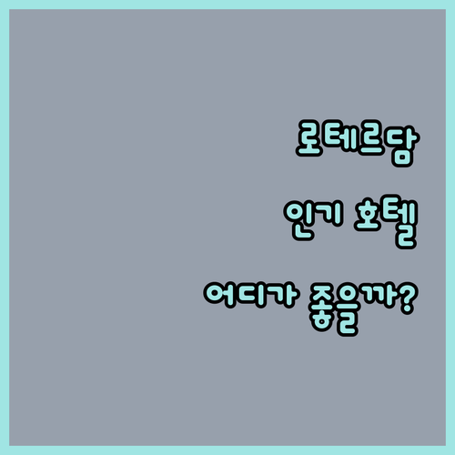 로테르담 인기 호텔 비교 Double..