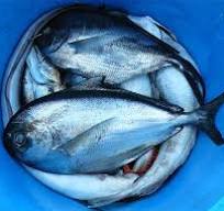 통풍에 해로운 음식