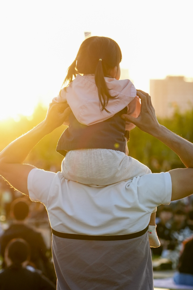 세종 낙화축제 2025 일정, 장소, 볼거리 완벽 가이드