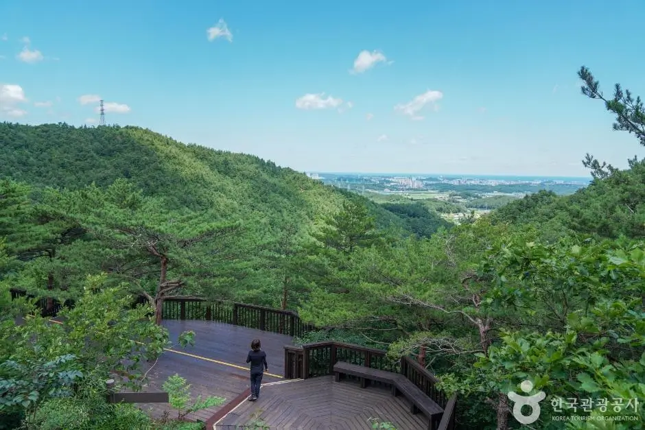 10698918-879e-4ecc-900a-c56422e60e9b