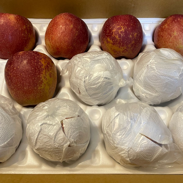 사과 보관법, 보관하는법 완벽 정리