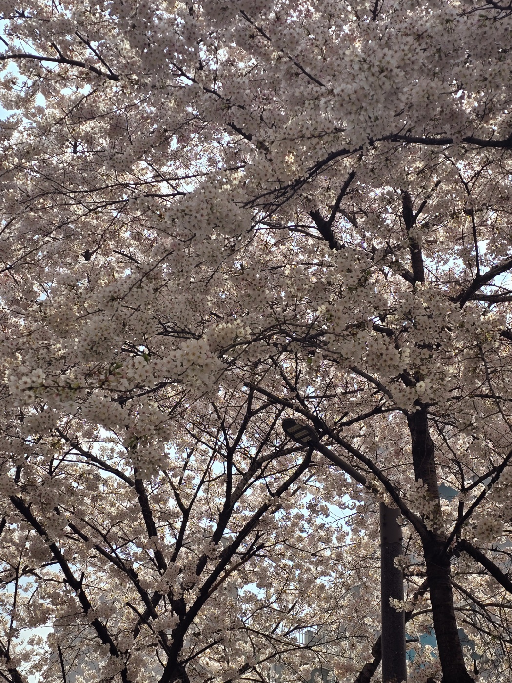 연남동