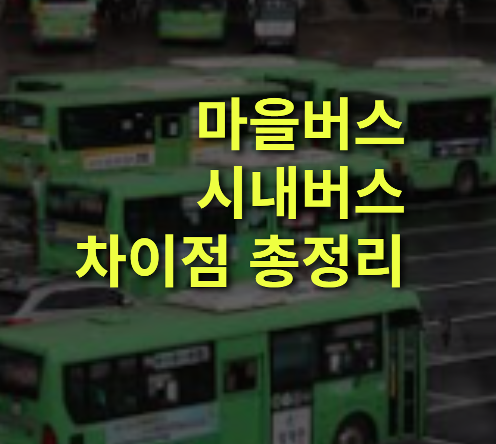 마을버스와 시내버스 차이점은? 요금, 크기, 노선, 법적 분류.
