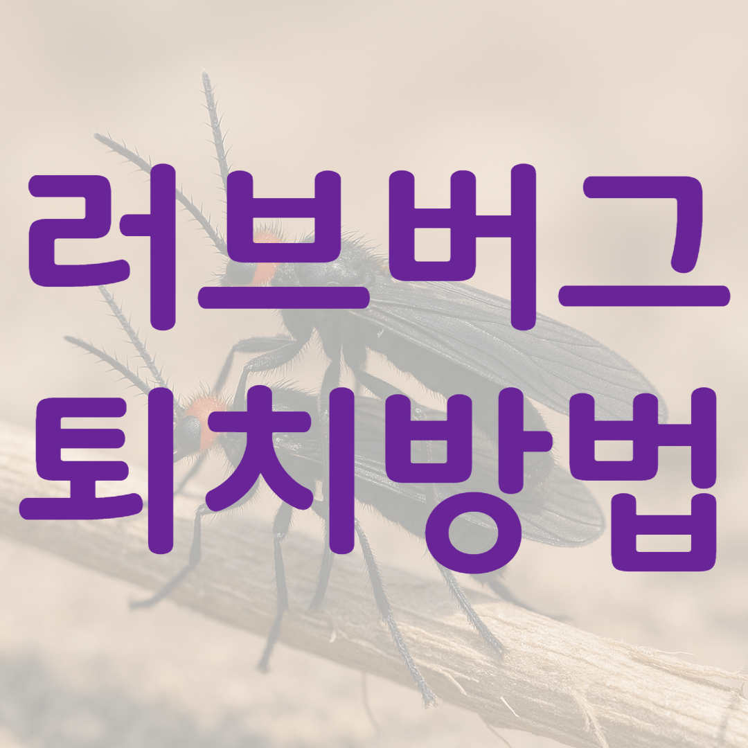 러브버그 퇴치방법