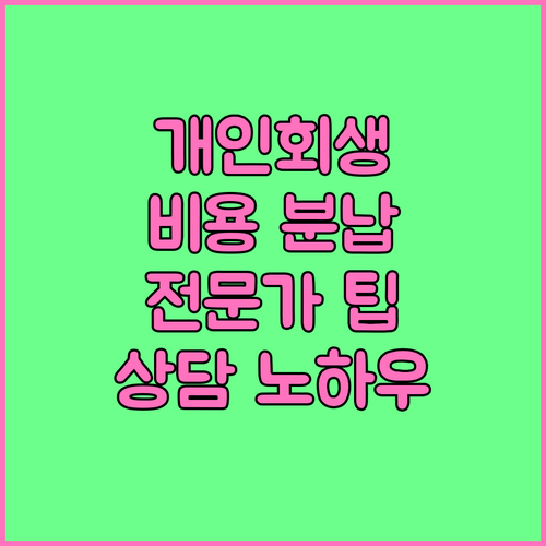 개인회생 비용 분납 방법: 법률 전문