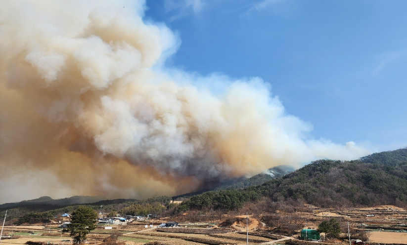 산불 진화 사진